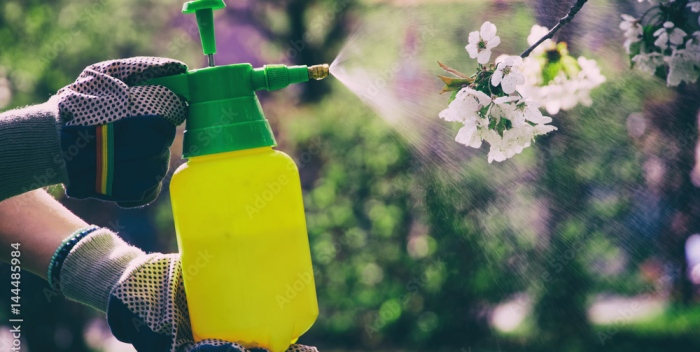How You Can Get Rid Of Bugs Pestering In Your Garden